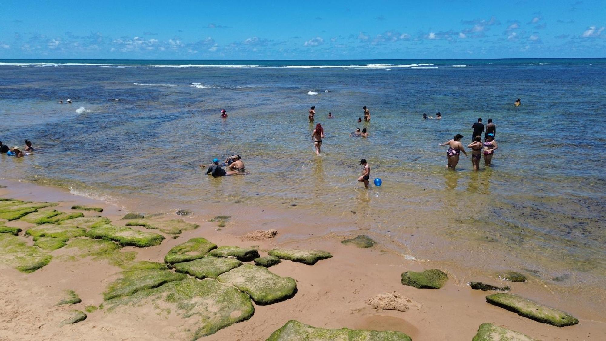 A Casa Da Praia Do Forte Dış mekan fotoğraf